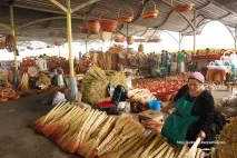 Оповідь про траву Ісрик, Mua оповідь