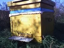 колко кошера