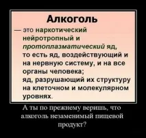 Скажи алкоголю, SIBZDOR скажи