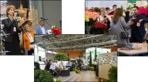 цветя цветя декоративни