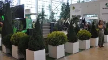 цветя цветната индустрия