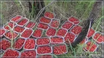 продаж