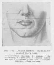 преглед външен