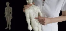 Заповнення нирок техніками ТКМ заповнення