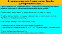 Вплив рівня тестостерону на випадання волосся у чоловіків вплив