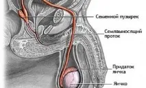 Запалення насіннєвих бульбашок бульбашок