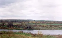 това време доволен