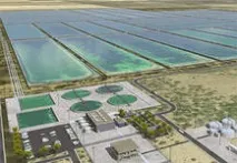 водораслите производство