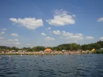 входа гората стане