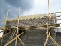 домашни домашни