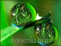 човешкия природата