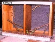 життя