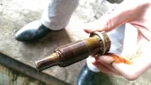 Заміна маслознімних ковпачків M112 заміна