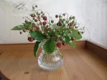 букет букет
