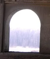 Въпреки това Въпреки това