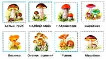 Життя лісу, okrmir1234 лісу