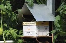 развитието пчеларско
