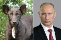 знаменитости животни