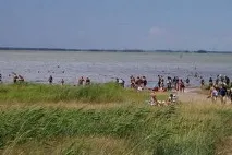 Зав’ялове - Солоне озеро (село Світле), Алтайський край ялове