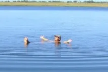 Зав’ялове - Солоне озеро (село Світле), Алтайський край село