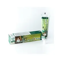 mastic-spa