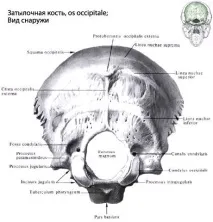 компетентно