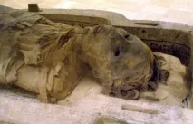 находки дебелото черво