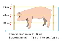 електрическа ограда един