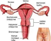 Аднексит, Джерело здоров’я джерело