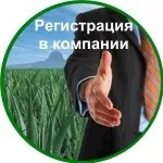 Алое Віра від Форевер - не розкіш, Корисні властивості Алое Віра алое