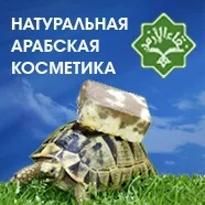 обучение училище