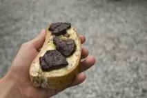 анатомия анатомия