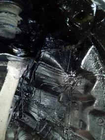 антикор