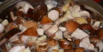 манатарки стъпка