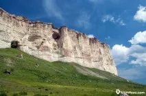 бяла бяла