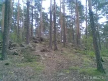 База відпочинку «Білочка» - Чебаркульський район, Челябінська область, фото турбази, ціни, відгуки білочка