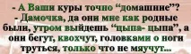 одеса твоята Льова
