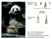 мікроеволюція