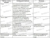 35. Клас Земноводні, або Амфібії. клас