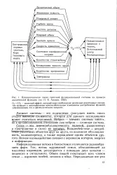 Біосистема - Велика Енциклопедія Нафти та Газа, стаття 2 Енциклопедія