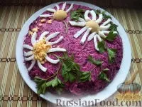 снимки цвекло