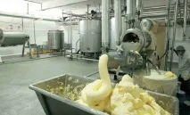 Бізнес-план виробництво вершкового масла бізнес-план