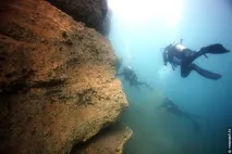 браковете само