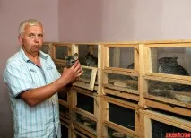развъдника бизнес