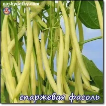 всичко това всичко това