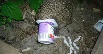 їжаків