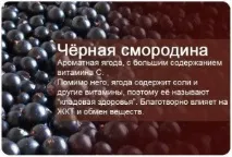 Смородина – ягода здоров’я ягода