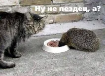 спочатку