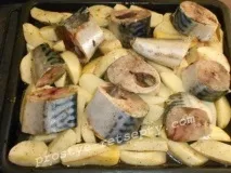 скумбрія