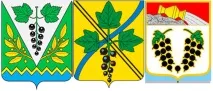 Смородина – ягода здоров’я смородина